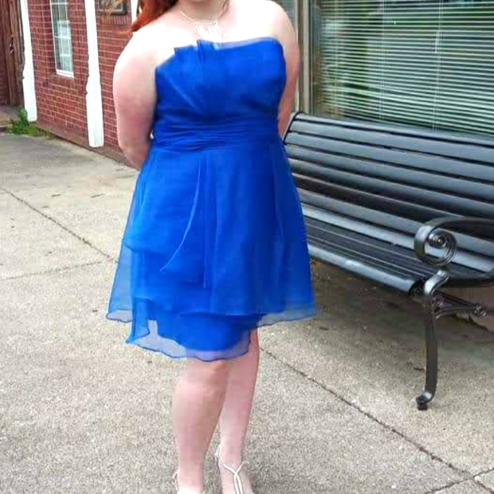 David's Bridal Tulle Dress